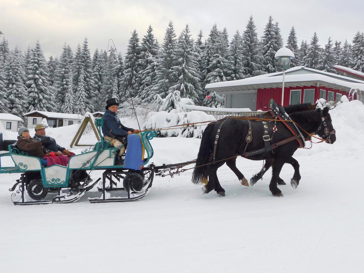 Waldhotel Rennsteighoehe Frauenwald Eksteriør billede