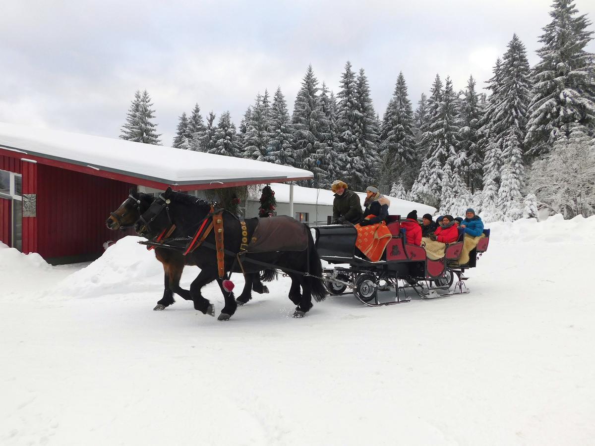 Waldhotel Rennsteighoehe Frauenwald Eksteriør billede