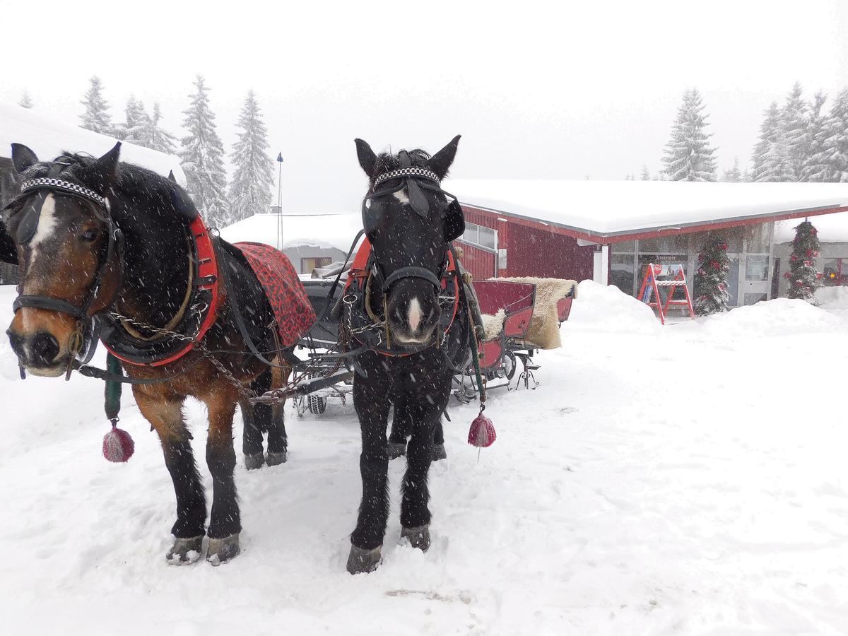 Waldhotel Rennsteighoehe Frauenwald Eksteriør billede